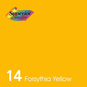 14 포시티아 옐로우 Forsythia Yellow