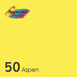 50 아스펜 Aspen