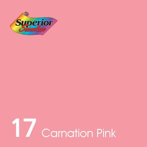 17 카네이션 핑크 Carnation Pink